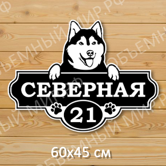 Северная Северная (Хаски белая) на сайт.jpg