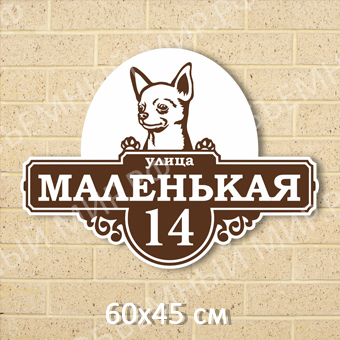 Маленькая Маленькая на сайт.jpg