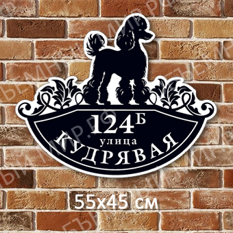 Кудрявая Кудрявая на сайт.jpg